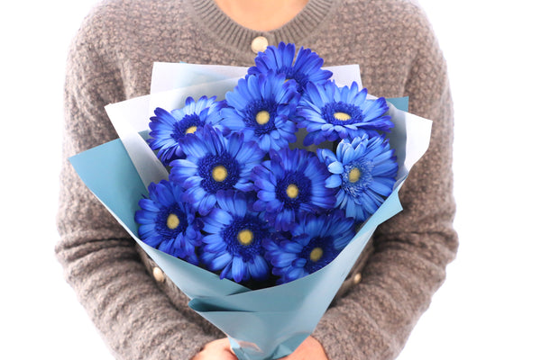 青色のガーベラの花束（10本）