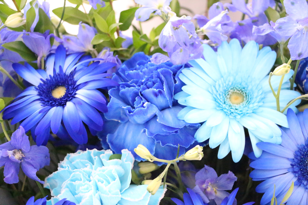 水色・青・白の花束 10,000円