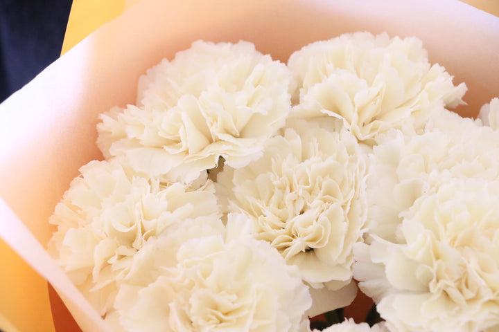淡い黄色のカーネーションの花束（10本）