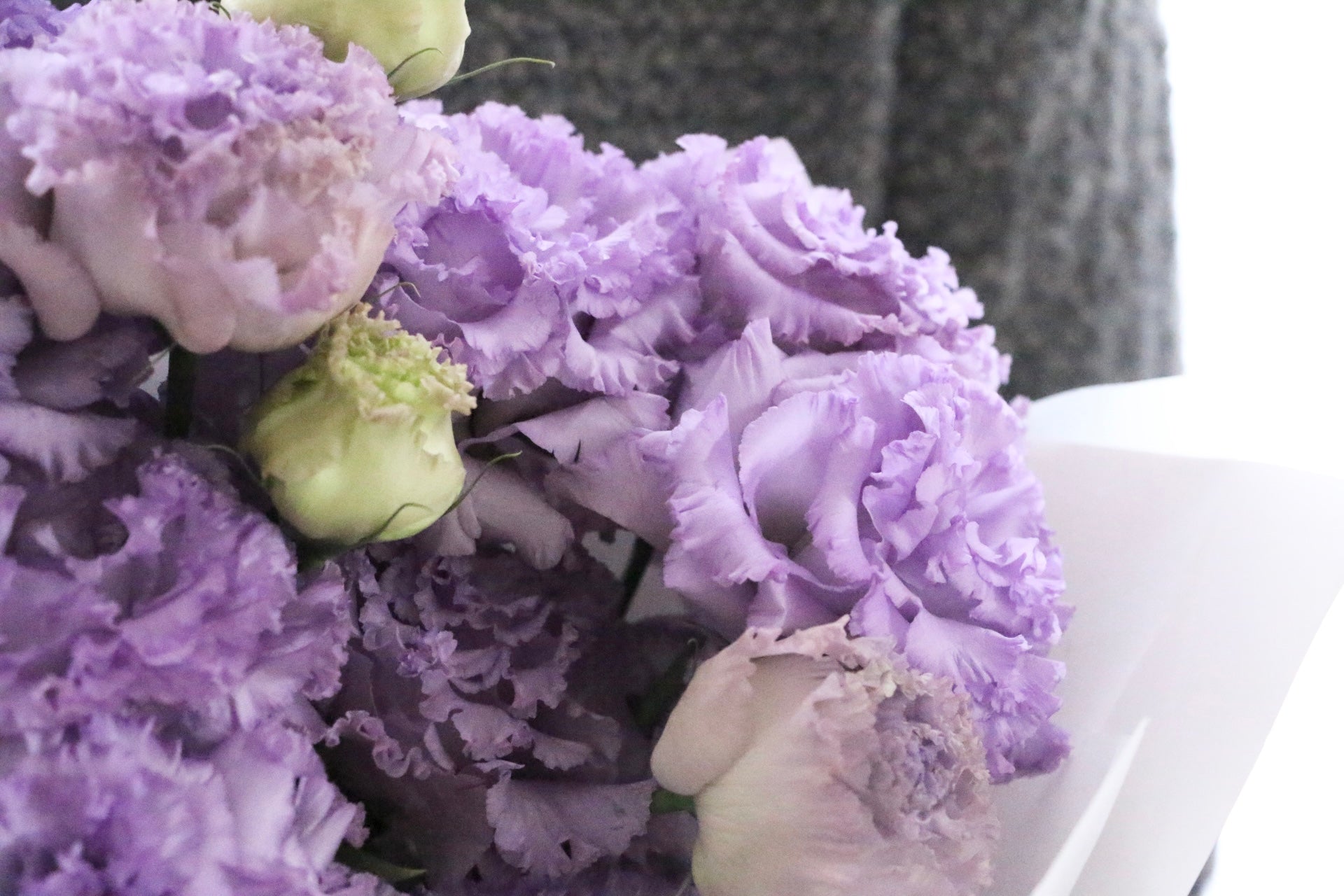 紫色のトルコキキョウの花束（5本） – 花・花束の通販サイト｜HanaTaku