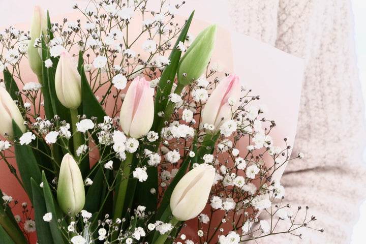 淡いピンクのチューリップ（10本）とカスミソウの花束