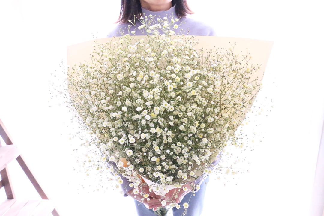 黄色のカスミソウ（かすみ草）の花束 10,000円 2Lサイズ