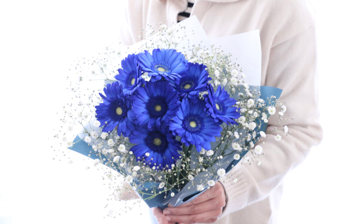 青色のガーベラ（8本）とカスミソウの花束