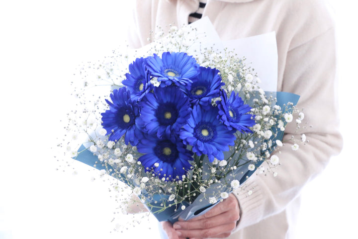 青色のガーベラ（8本）とカスミソウの花束
