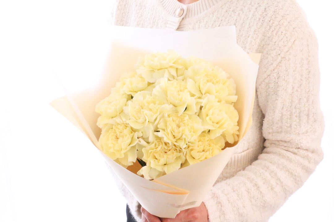 淡い黄色のカーネーションの花束（12本）