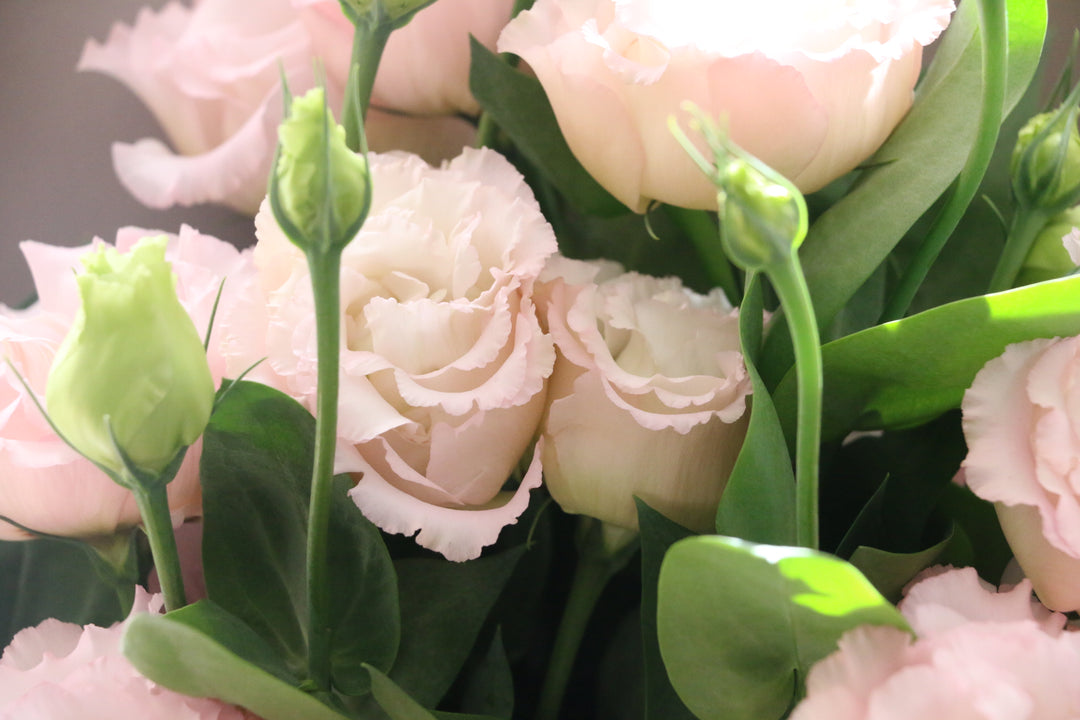 ピンク色のトルコキキョウの花束（7本）