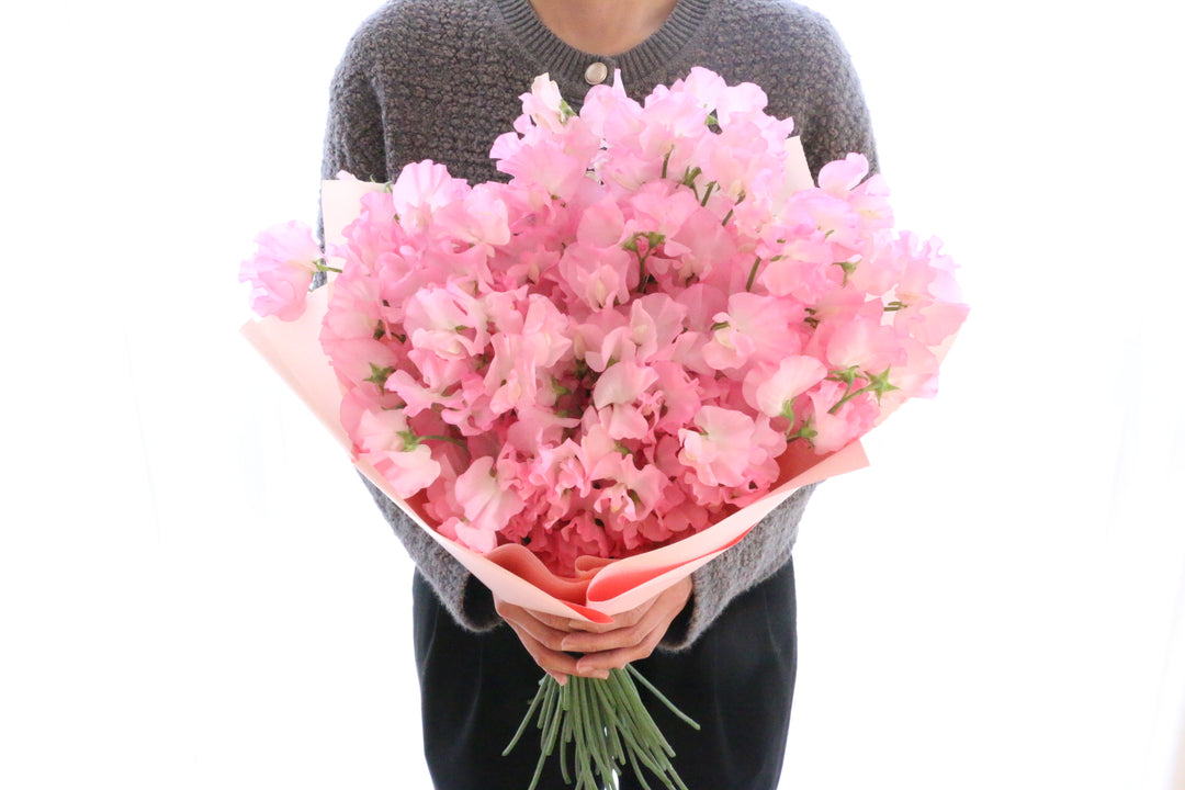 ピンク色のスイートピーの花束（50本）