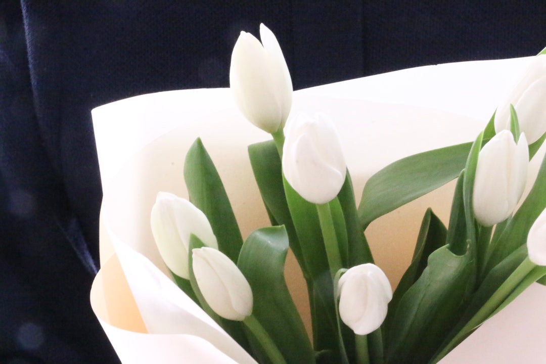 白のチューリップの花束（8本）