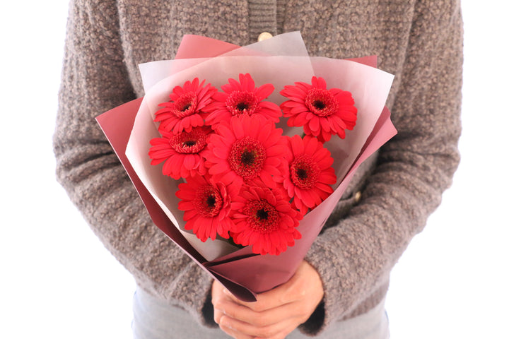 赤色のガーベラの花束（8本）-あなたの思いやりに感謝します