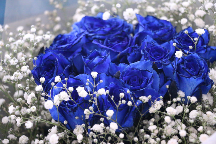 12本の青いバラとカスミソウ（かすみ草）の花束-私の妻になってください