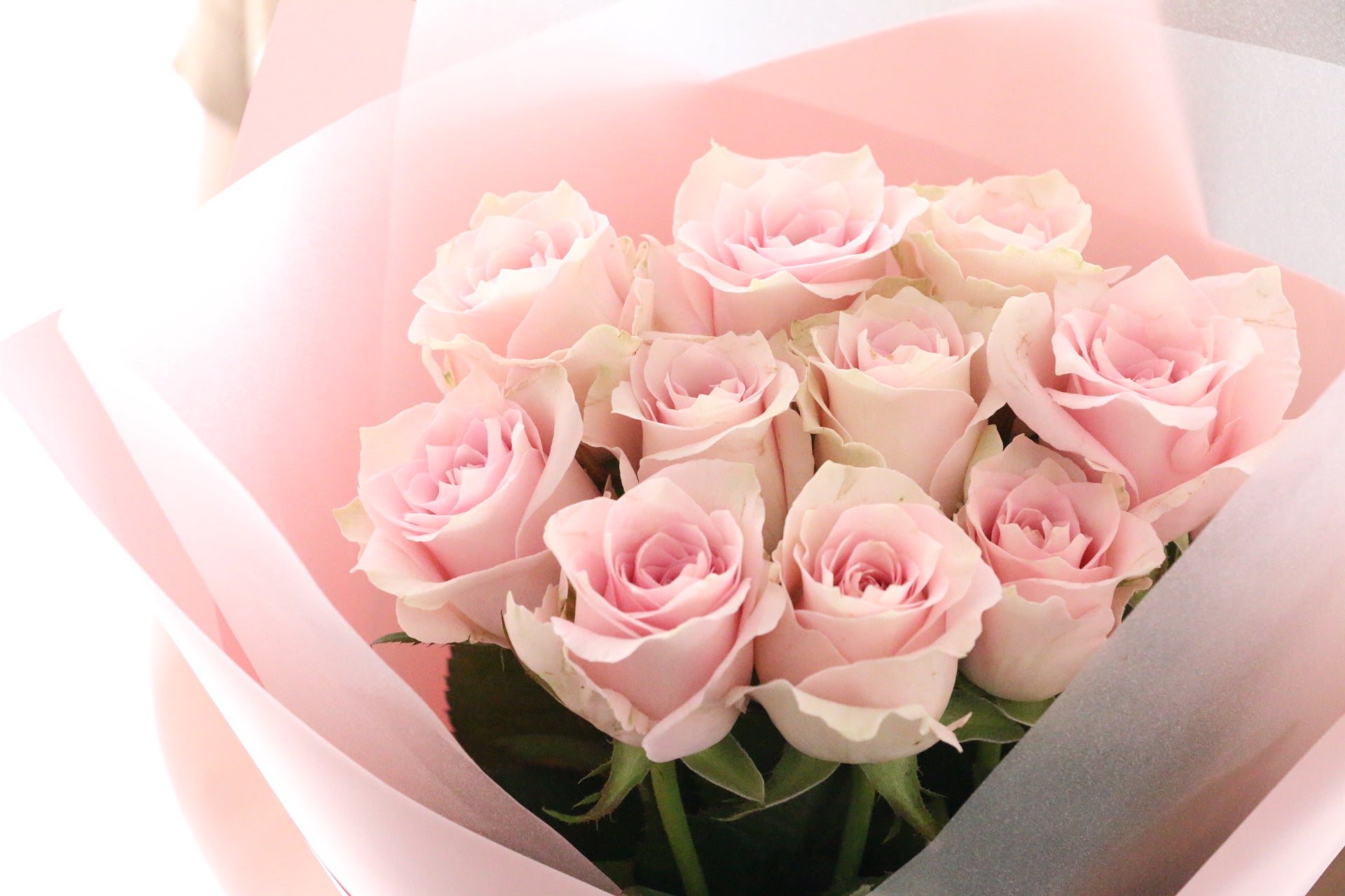 オ−ダ−品 ピンクばら10本小花2点と濃紺色ばら.他3点 10本のピンク色バラの花束 – 花・花束の通販サイト｜HanaTaku