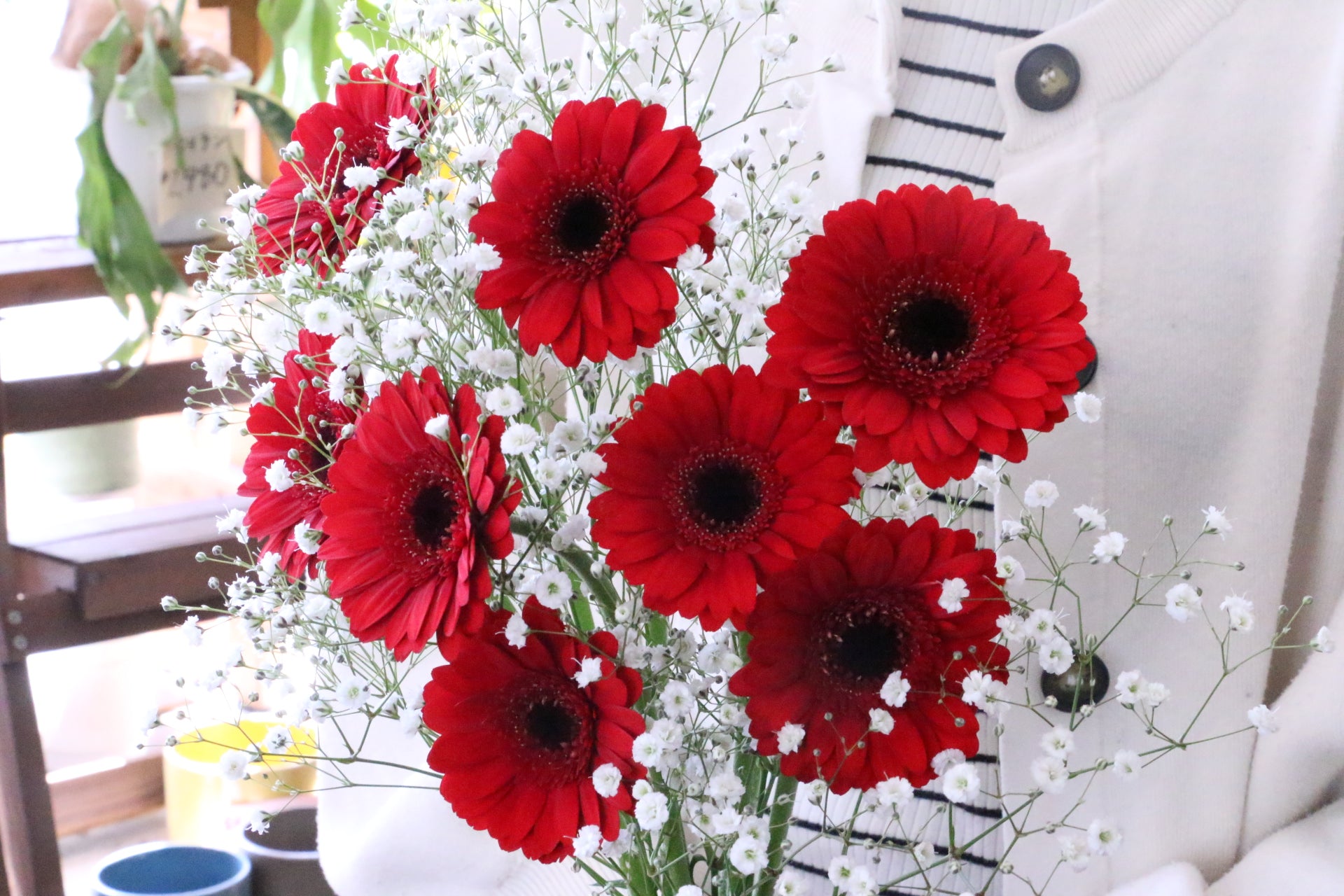 カスミソウと赤色ガーベラの花束 – 花・花束の通販サイト｜HanaTaku