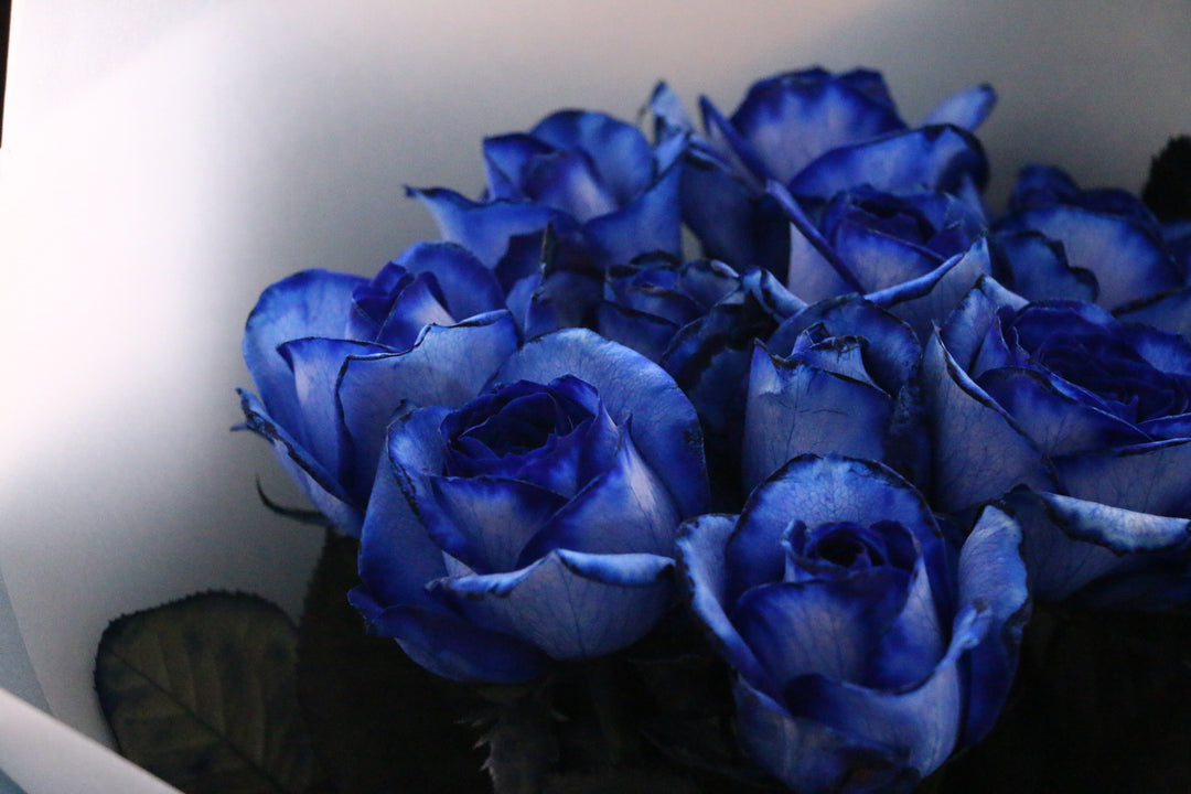 10本の青いバラの花束