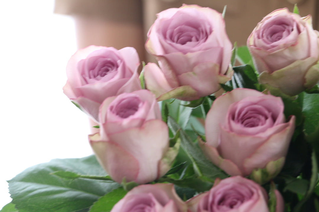 紫色のバラの花束（10本）
