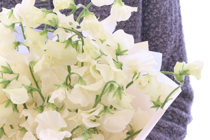 クリーム色のスイートピーの花束（25本）
