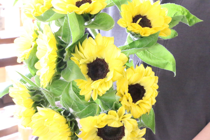 黄色のひまわりの花束（10本）