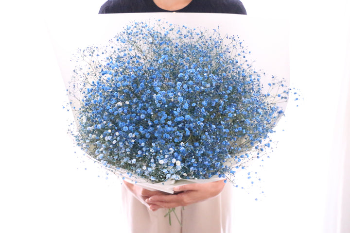 青のカスミソウ（かすみ草）の花束 10,000円