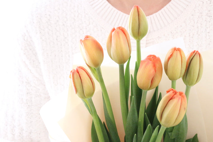 オレンジのチューリップの花束（8本）