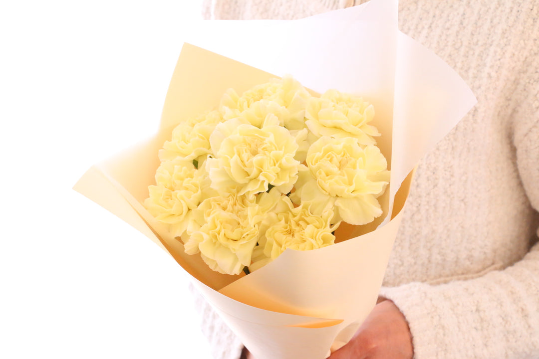 淡い黄色のカーネーションの花束（8本）