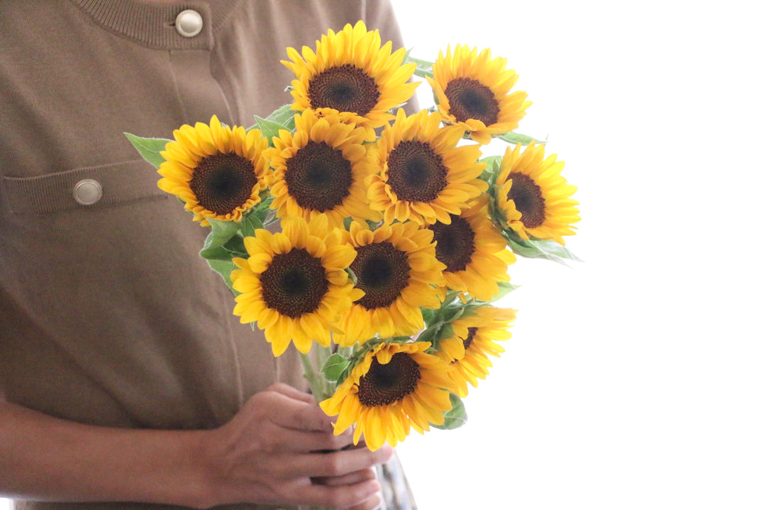 【プロポーズ】ひまわりの花束（11本）