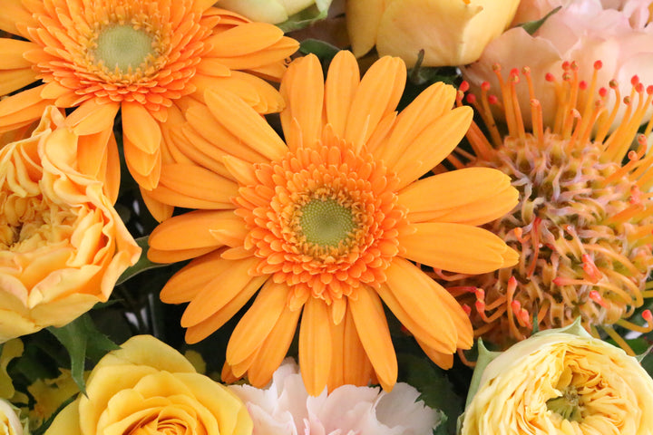 黄色・オレンジ色のアレンジメント 10,000円