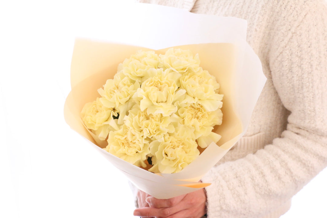 淡い黄色のカーネーションの花束（10本）