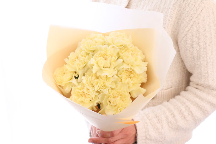 淡い黄色のカーネーションの花束（10本）