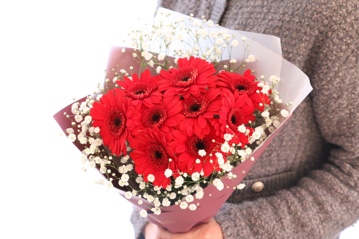 赤色のガーベラ（9本）とカスミソウの花束-いつまでも一緒にいてください
