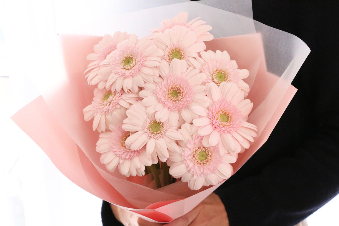 ピンク色のガーベラの花束（12本）-私の妻になってください
