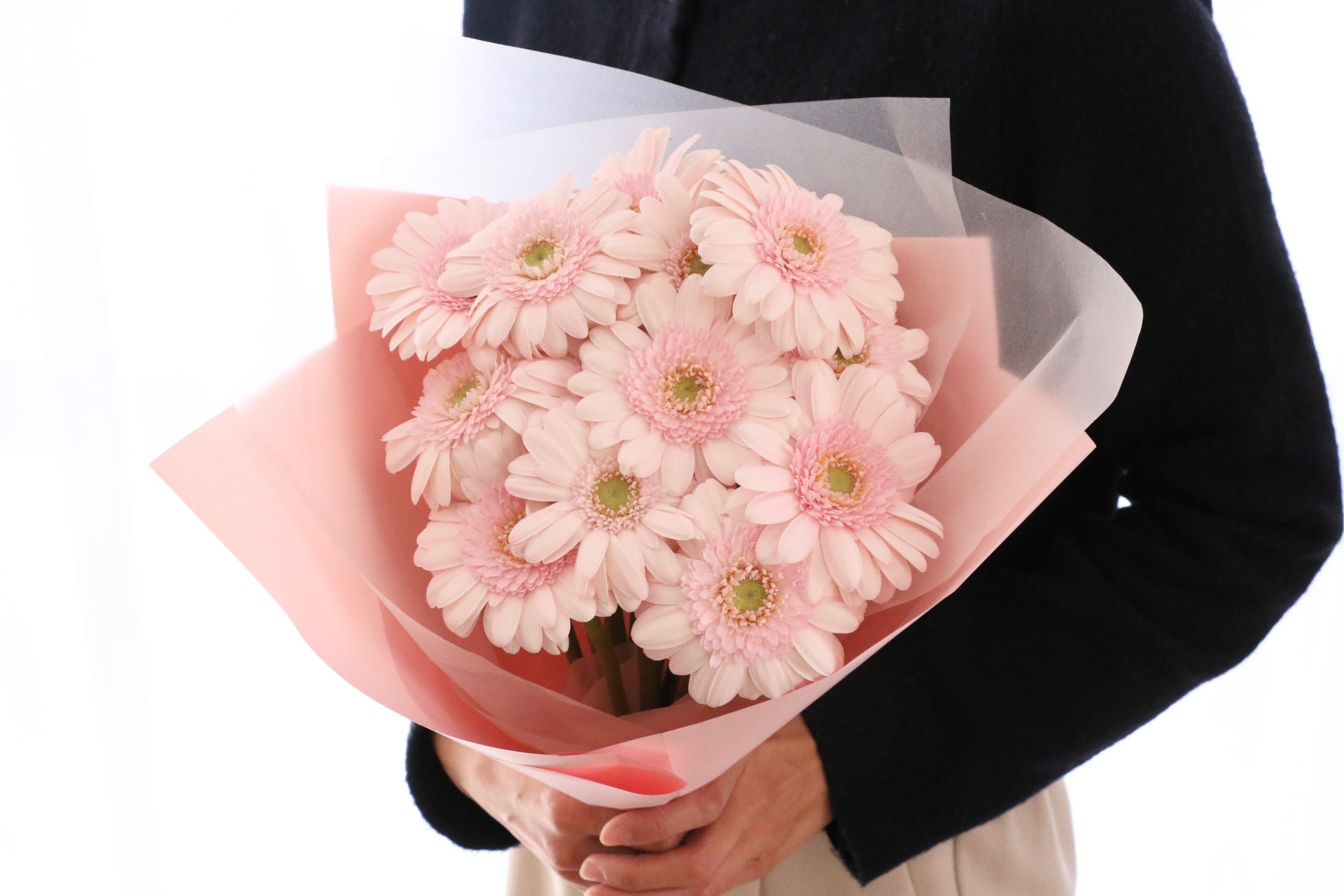 ピンク色のガーベラの花束（13本）-永遠の友情 – 花・花束の通販サイト