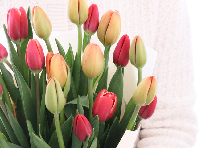 【2色MIX】チューリップの花束（20本）