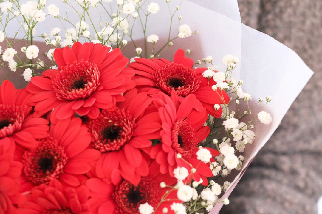 赤色のガーベラ（9本）とカスミソウの花束-いつまでも一緒にいてください
