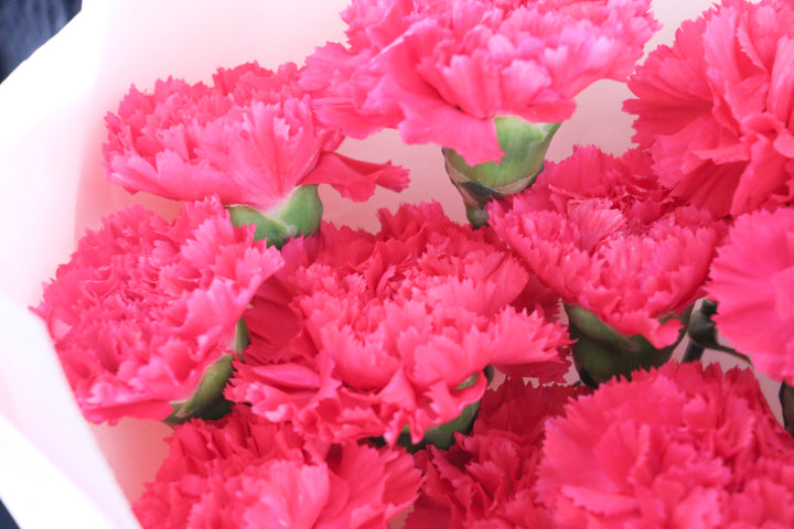 濃いピンクのカーネーションの花束（10本）