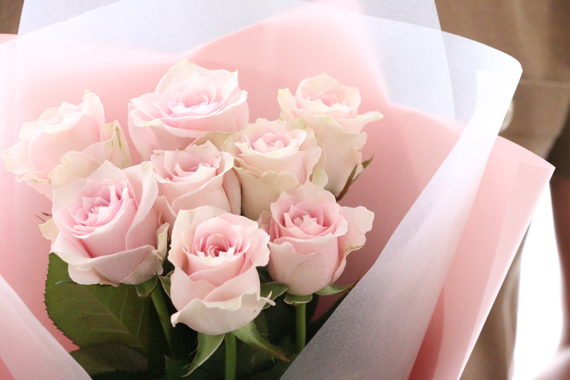 8本のピンク色のバラの花束-あなたの思いやりに感謝します – 花・花束