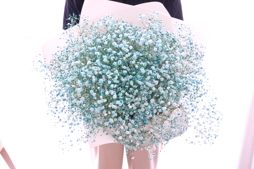 水色のカスミソウ（かすみ草）の花束 10,000円
