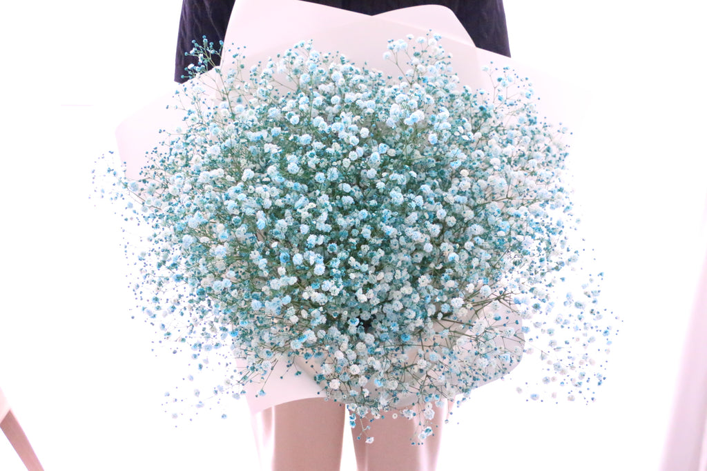 水色のカスミソウ（かすみ草）の花束 10,000円 – 花・花束の通販