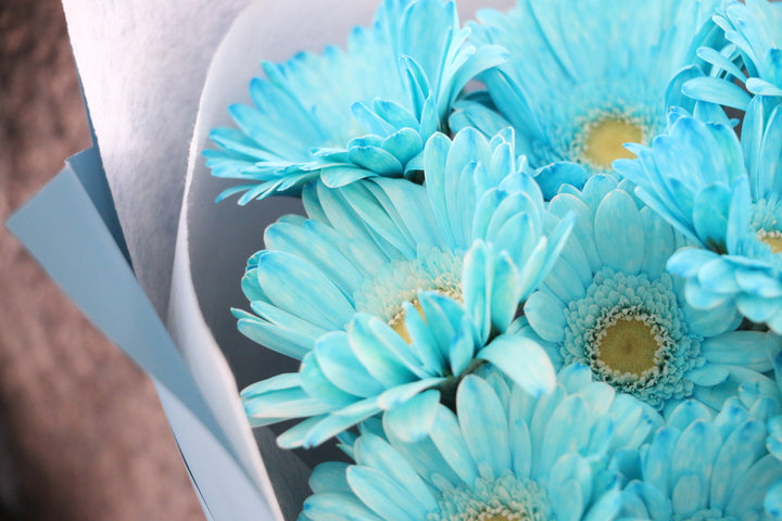 水色のガーベラの花束（9本）-いつまでも一緒にいてください