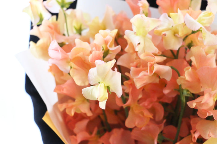 オレンジ色のスイートピーの花束（25本）