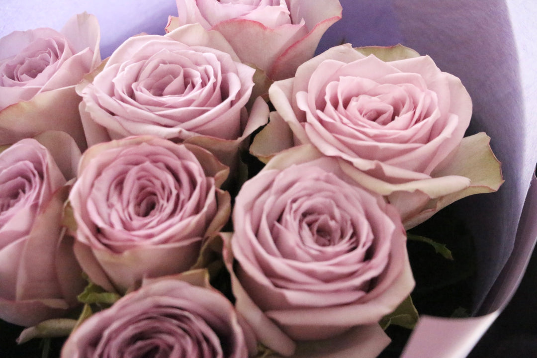 紫色のバラの花束（8本）-あなたの思いやりに感謝します