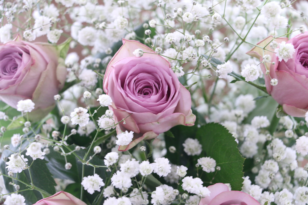 カスミソウと紫色のバラの花束 4,500円
