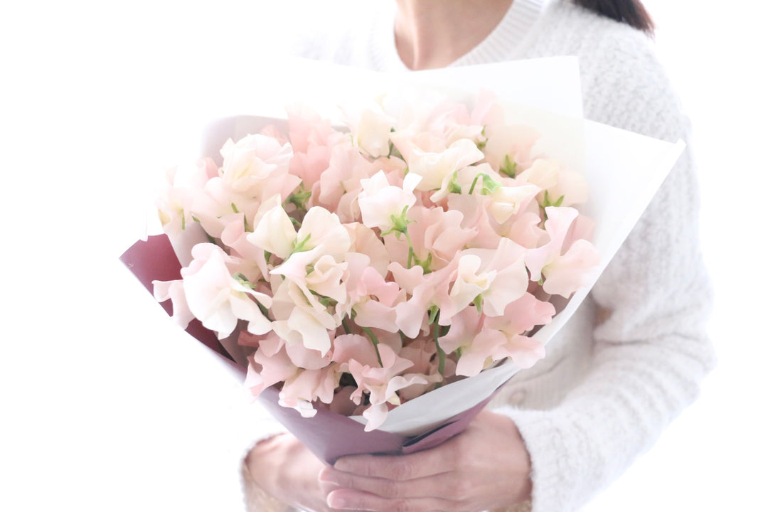 淡いピンク色のスイートピーの花束（25本）