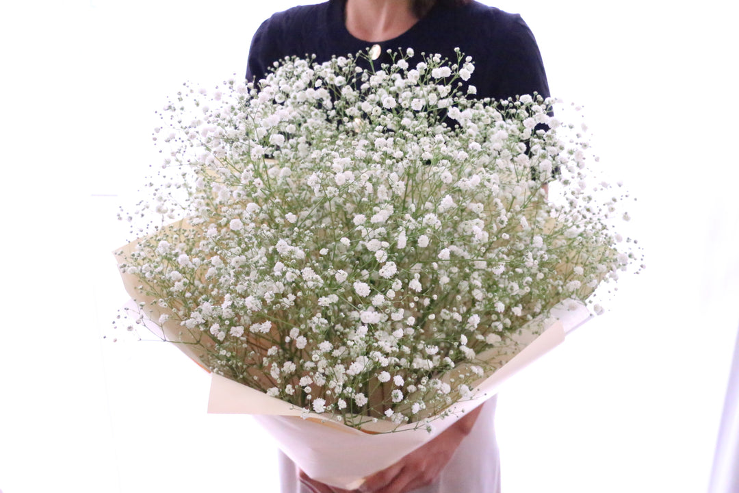 カスミソウ（かすみ草）の花束 6,000円
