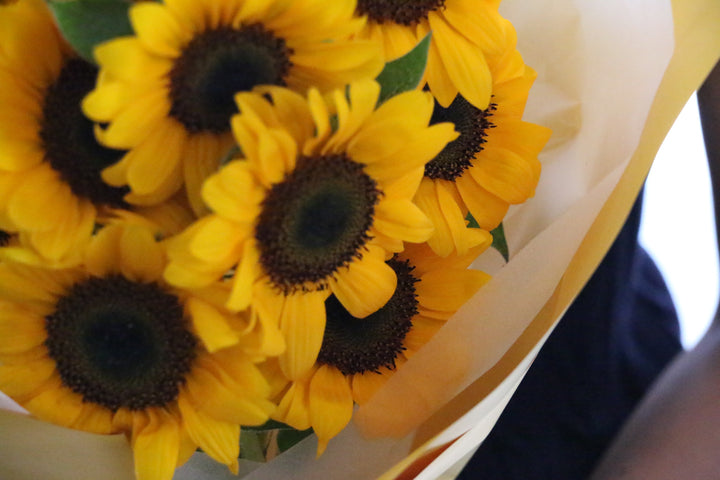 ひまわりの花束（10本）