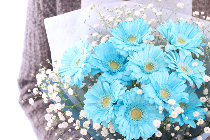 水色のガーベラ（10本）とカスミソウの花束