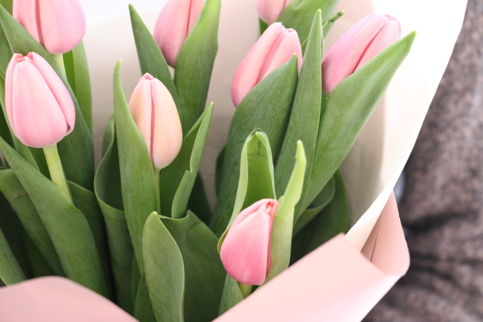 ピンクのチューリップの花束（9本） – 花・花束の通販サイト｜HanaTaku