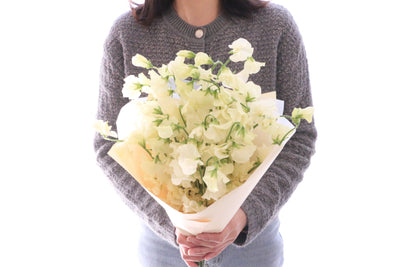 クリーム色のスイートピーの花束（25本）