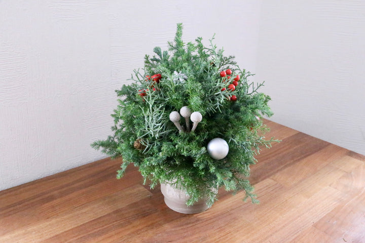 クリスマスツリーアレンジメント　Sサイズ　3,500円