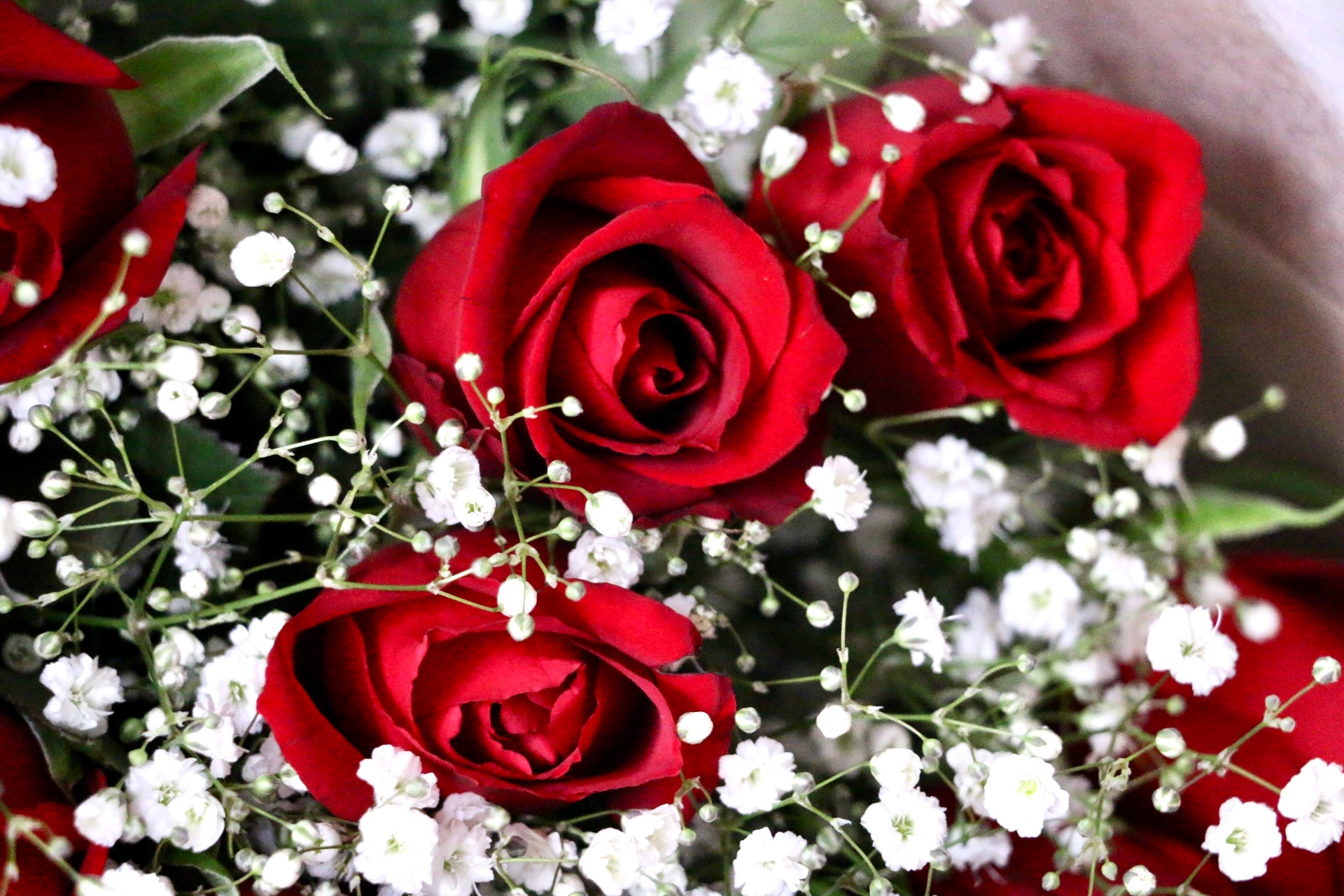 薔薇物語　早葉子そめ花　そめばな 薔薇物語 早葉子そめ花 そめばな - メルカリ