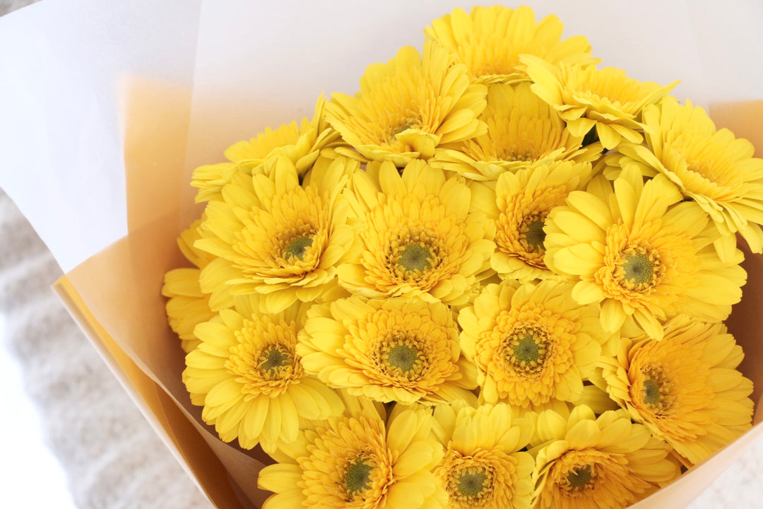黄色のガーベラの花束（18本）-誠実