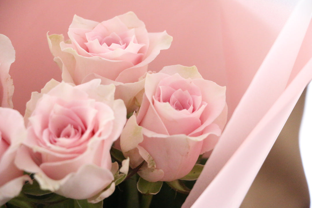 5本のピンク色のバラの花束